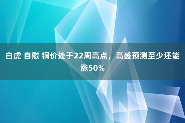 白虎 自慰 铜价处于22周高点，高盛预测至少还能涨50%