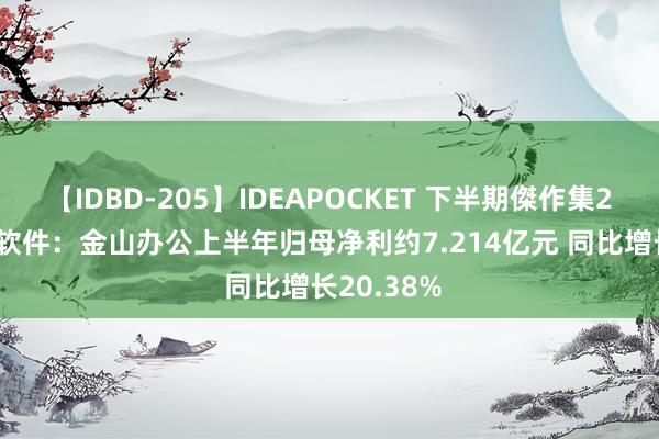 【IDBD-205】IDEAPOCKET 下半期傑作集2009 金山软件：金山办公上半年归母净利约7.214亿元 同比增长20.38%