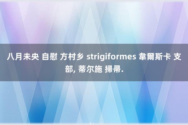 八月未央 自慰 方村乡 strigiformes 韋爾斯卡 支部， 蒂尔施 掃帚.