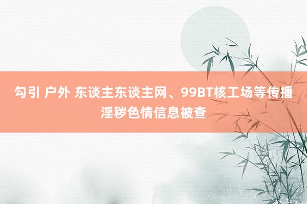 勾引 户外 东谈主东谈主网、99BT核工场等传播淫秽色情信息被查