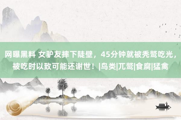 网曝黑料 女驴友摔下陡壁，45分钟就被秃鹫吃光，被吃时以致可能还谢世！|鸟类|兀鹫|食腐|猛禽