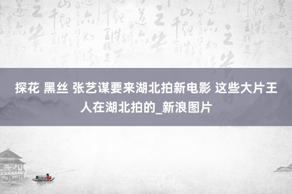 探花 黑丝 张艺谋要来湖北拍新电影 这些大片王人在湖北拍的_新浪图片